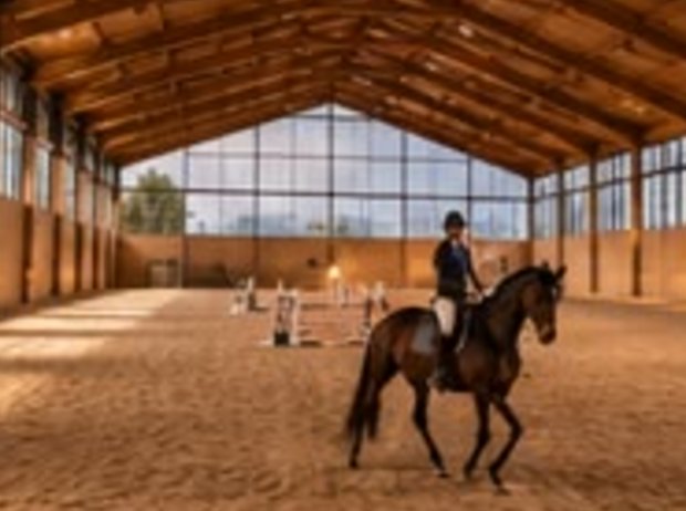 One-to-one coaching in the indoor arena